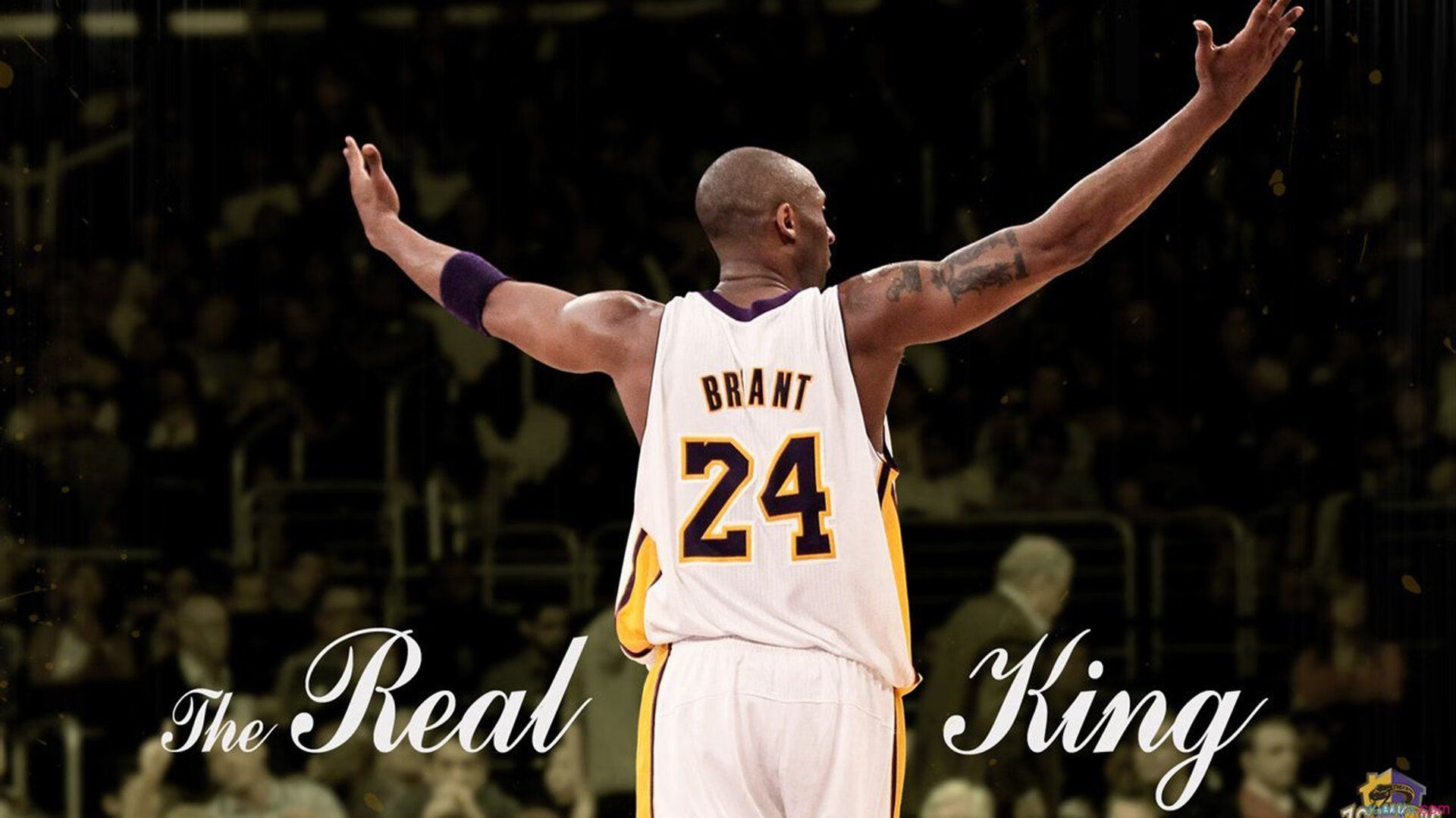 篮网再次展开强势反击，区域火力全开，篮网情况