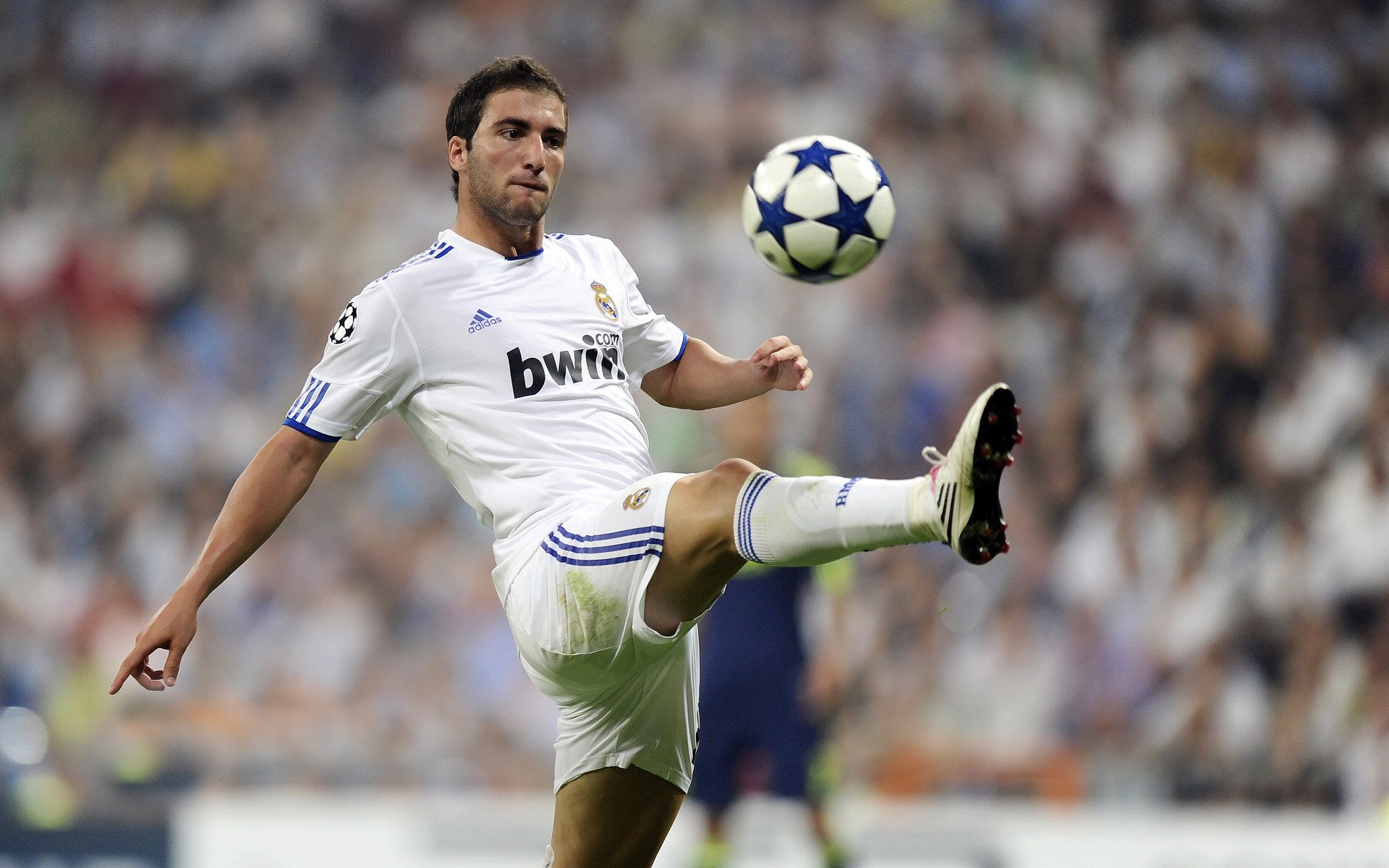 球队教练赛前战术布置解读，教练员赛前准备工作